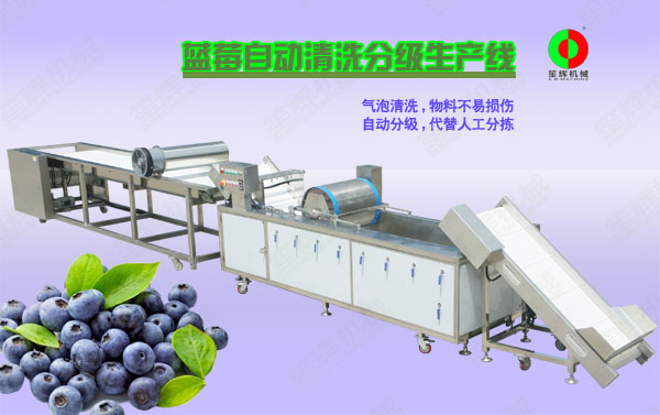 大埔蓝莓/蔬果全自动清洗分级生产线